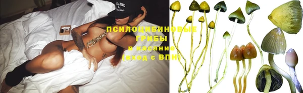 стаф Абдулино