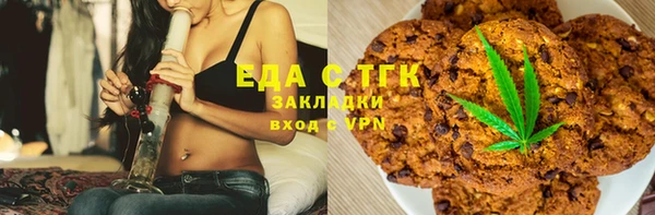 гашик Алексин
